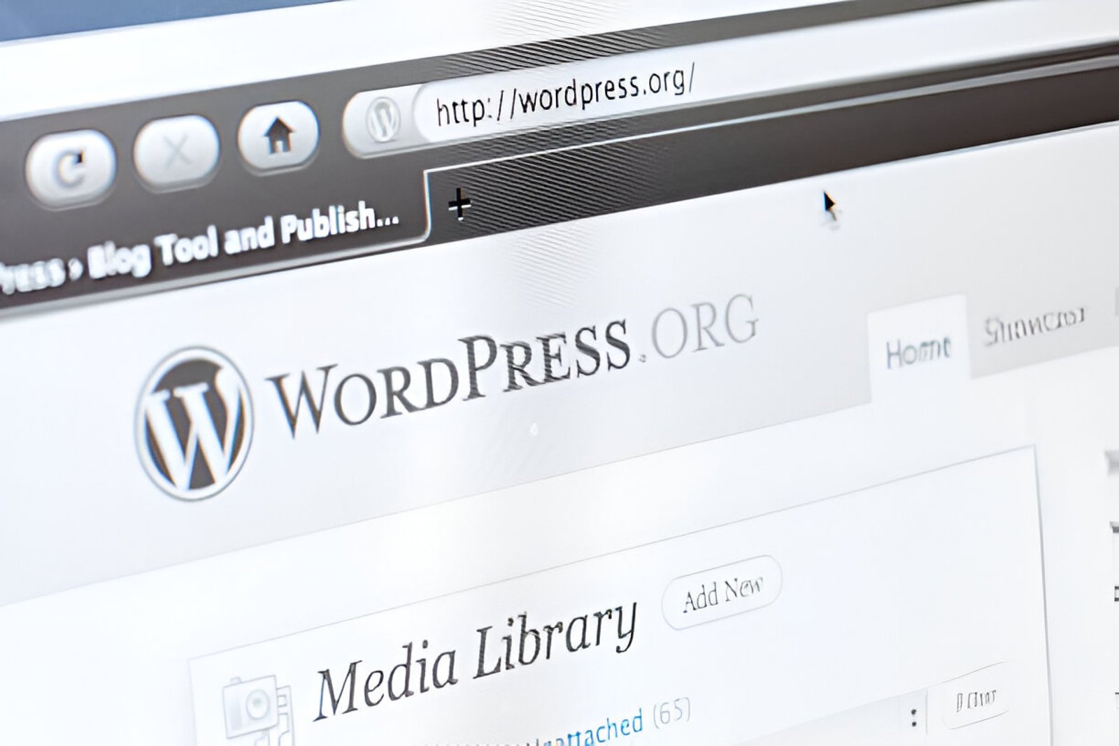 Wordpress Web Depelopment